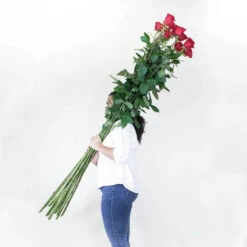 Extra Long Stemmed Red Rose