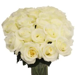 Blizzard White Rose 7 Blizzard White Rose -Garden of Petals Blizzard White Rose Bunch350 9e2b17d9