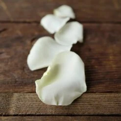 Garden of Petals -Garden of Petals Cream Rose Petals Line HR 2000 0709069b