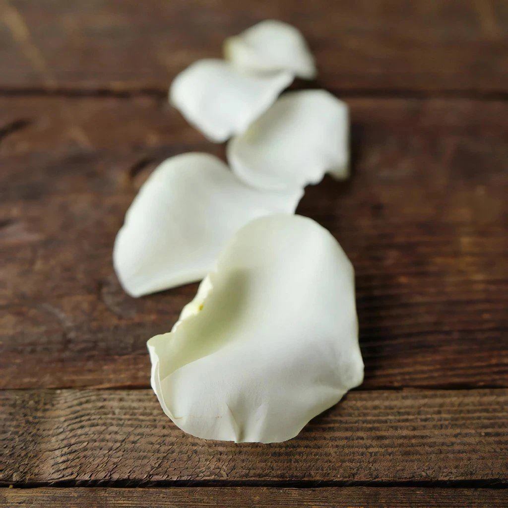 Creamy White Rose Petals 2 Creamy White Rose Petals - Image 2