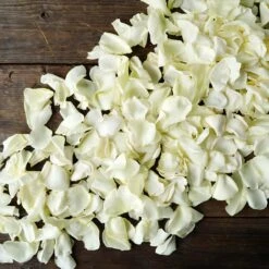 Creamy White Rose Petals 7 Creamy White Rose Petals -Garden of Petals Cream Rose Petals Spread HR 2000 08723b8b 8eae47b2 6b63 411b 86e9 b08a851b6615