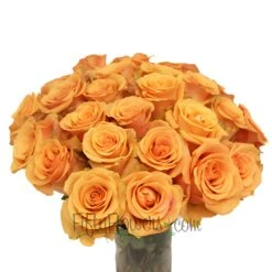 Cumbia Peach Rose 7 Cumbia Peach Rose -Garden of Petals Cumbia Peach Rose Bunch350 5862d5e0 40687fb5 6ca3 457d ad49 e26e7f94a260