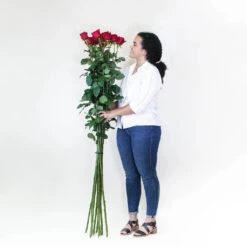 Extra Long Stemmed Red Rose -Garden of Petals I6 20foot 20roses 20 2010148 20 20standing 2048 328d6abd 3045db56 edd1 49d2 abe4 f7c633311395