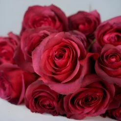 Magical Matilda Rose -Garden of Petals Matilda Roses Lay 350 9342fb94