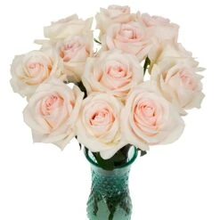 Cotton Candy Rose -Garden of Petals Pastella Rose Bunch 2 350 0ef78cd8