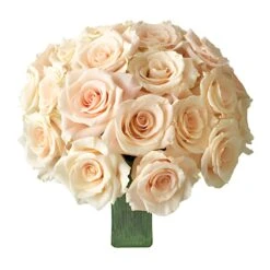 Peaches And Cream Rose 7 Peaches And Cream Rose -Garden of Petals Peaches and Cream Rose Corina Bunch 350 6398ef28 feb0b4ae 83f6 433e 8b49 8b7f5f2d06ff