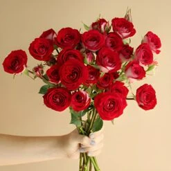 Cherry Pie Red Spray Roses 7 Cherry Pie Red Spray Roses -Garden of Petals Red 20Hero 20Bunch 20in 20Hand 20350x350 d428cf78