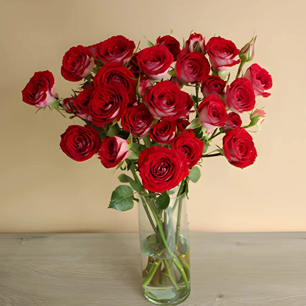 Cherry Pie Red Spray Roses 6 Cherry Pie Red Spray Roses - Image 6
