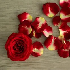 Cherry Pie Red Spray Roses 9 Cherry Pie Red Spray Roses -Garden of Petals Red 20Hero 20Flatlay 20350x350 db8ae5fe