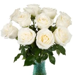 Group One Sothebys International Realty Roses