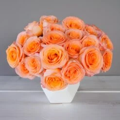 Coral Passion Rose -Garden of Petals Tangerine Dream Coral Reef Rose Bunch in vase 5 350 01558eea