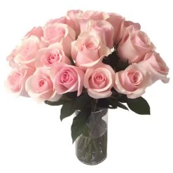 Titanic Light Pink Rose -Garden of Petals Titanic Light Pink Roses Wedding Bouquet Idea 74 795 l