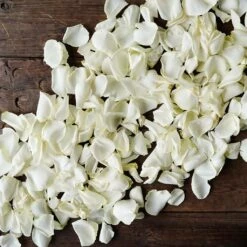 White Rose Petals -Garden of Petals White Rose Petals Spread HR 2000 55c9f8ff d658ff08 ca9e 4577 bb58 e11933f5bece