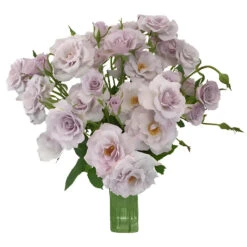 Antique Lavender Spray Roses Bulk -Garden of Petals antique lavender spray roses bulk wholesale flowers vase 96963