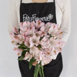 Baby Pink Peruvian Lilies 7 Baby Pink Peruvian Lilies -Garden of Petals baby pink peruvian lilies wholesale flowers apron 8bc54