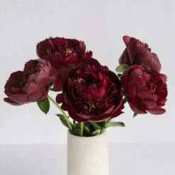 Buckeye Peonies For April Delivery 6 Buckeye Peonies For April Delivery -Garden of Petals buckeye peonies wholesale flowers vase 7f330
