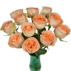 Country Home Garden Rose 5 Country Home Garden Rose -Garden of Petals country home peach garden roses wedding bouquet idea 12 8104 l 959550f3 e130 4c0e 9e30 18ac9bcfb369