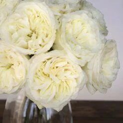 Creamy Ivory Peony Rose -Garden of Petals creamy ivory rose bunch 37 1748 l aaa2bc59 b980 4a2c 8077 32ee32a3d67c