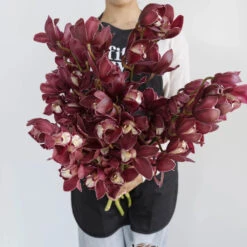Cymbidium Orchids Merlot Pink -Garden of Petals cymbidium orchids merlot pink wholesale flowers apron de0ef