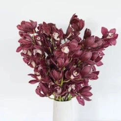 Cymbidium Orchids Merlot Pink -Garden of Petals cymbidium orchids merlot pink wholesale flowers vase 0e12b