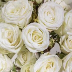 Floreana White Spray Roses