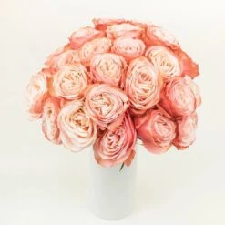 Peach Encounter Rose 6 Peach Encounter Rose -Garden of Petals kahala peach roses wedding bouquet idea 68 7766 l