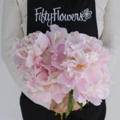 Katherina Peonies For May 7 Katherina Peonies For May -Garden of Petals katherina peonies wholesale flowers apron 2d14d