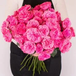 Peony Rose Pink Piano -Garden of Petals pink piano spray roses wholesale 88 3282 l 0211e26a f1d7 4e1b bdc3 37bbee017af1