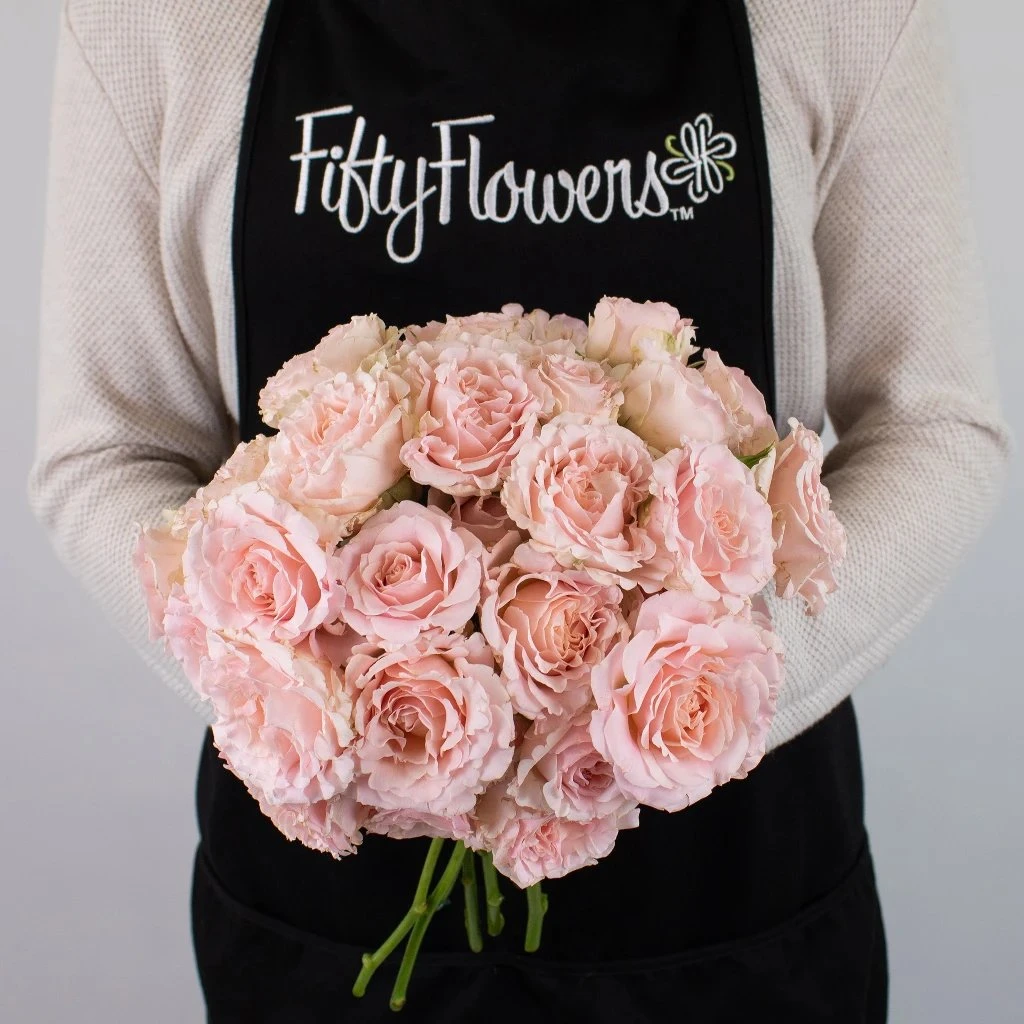 Pink Rosever Spray Garden Rose 4 Pink Rosever Spray Garden Rose - Image 4