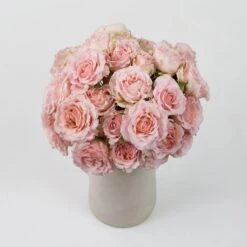 Pink Rosever Spray Garden Rose 6 Pink Rosever Spray Garden Rose -Garden of Petals pink spray garden rose flowers diy wedding 9 10897 l