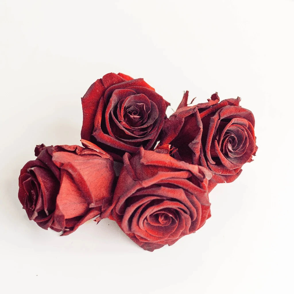 Preserved Terracotta Rose 4 Preserved Terracotta Rose - Image 4