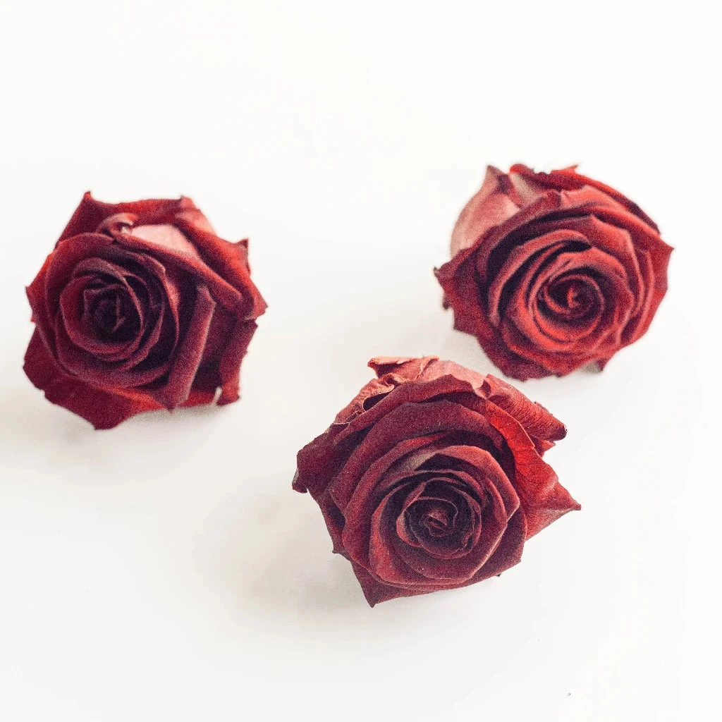 Preserved Terracotta Rose 2 Preserved Terracotta Rose - Image 2