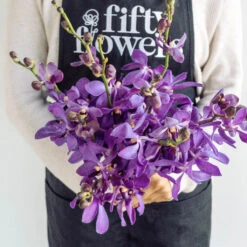 Purple Bulk Mokara Orchids 7 Purple Bulk Mokara Orchids -Garden of Petals purple bulk mokara orchids wholesale flowers apron de38c