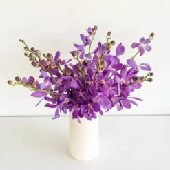 Purple Bulk Mokara Orchids 6 Purple Bulk Mokara Orchids -Garden of Petals purple bulk mokara orchids wholesale flowers vase 07ed1
