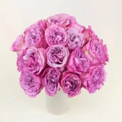 Berry Lace Wedding Garden Rose 6 Berry Lace Wedding Garden Rose -Garden of Petals queens crown purple garnden roses wedding bouquet idea 51 6042 l
