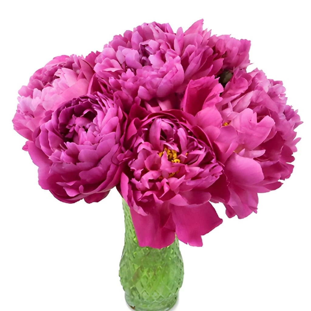 Red Bernhardt Peony For April Delivery 5 Red Bernhardt Peony For April Delivery - Image 5