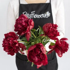 Cranberry Red Peony Flowers June Delivery 7 Cranberry Red Peony Flowers June Delivery -Garden of Petals red charm wholesale flowers apron 8895d
