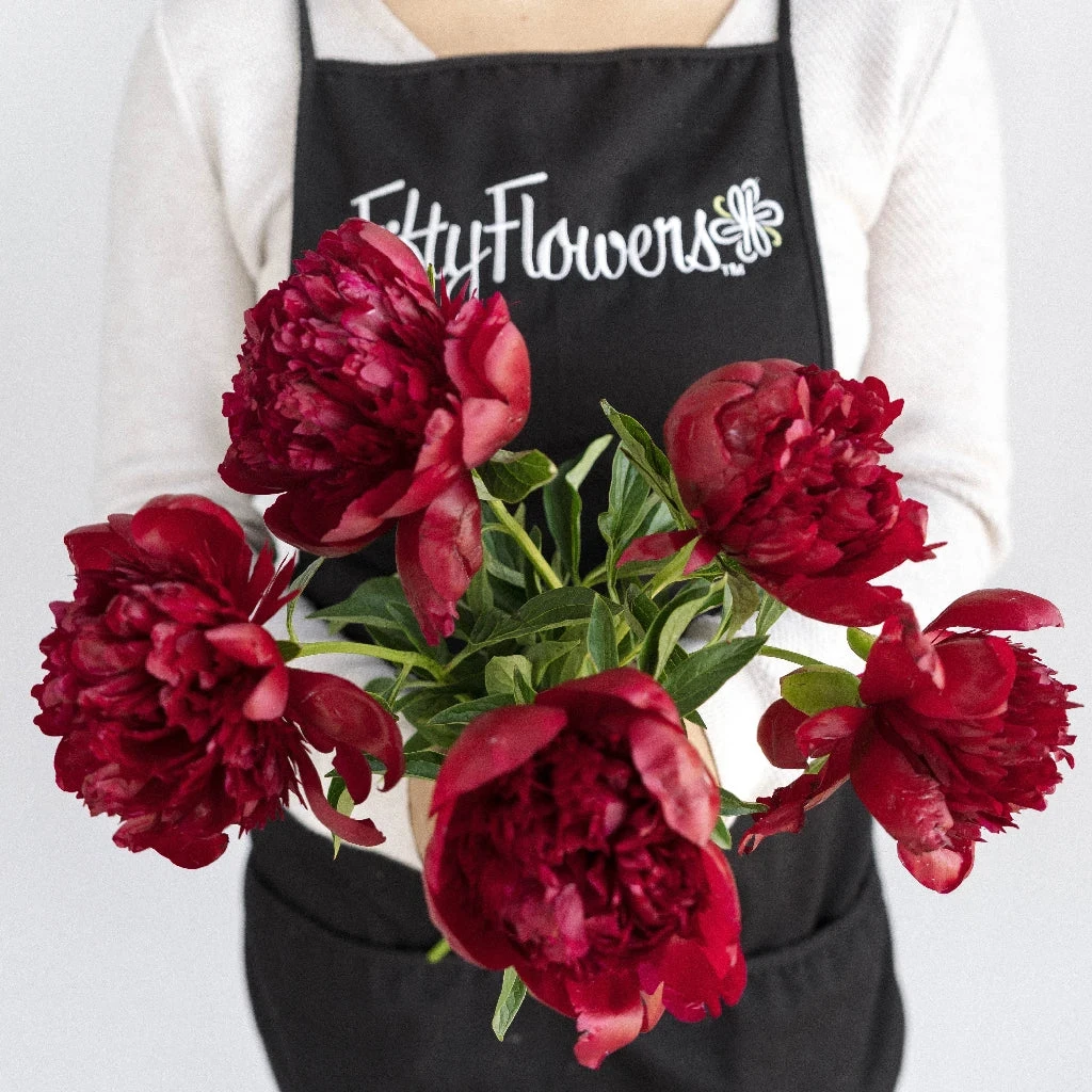 Burgundy Red Peony Flowers March Delivery 4 Burgundy Red Peony Flowers March Delivery - Image 4