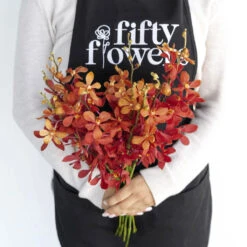 Red Mokara Orchids Flower 7 Red Mokara Orchids Flower -Garden of Petals red mokara orchids flower wholesale flowers apron 9fcb2