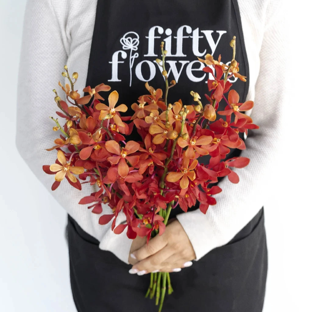 Red Mokara Orchids Flower 4 Red Mokara Orchids Flower - Image 4