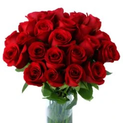 Sexy Red Bulk Red Roses -Garden of Petals sexy red bunch 350 dfcf22f1 92619e8f bfc4 4aca af41 58f24701e69d
