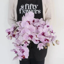 Tiger Striped Purple Orchids -Garden of Petals tiger striped purple orchids wholesale flowers apron 59b49