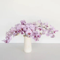 Tiger Striped Purple Orchids -Garden of Petals tiger striped purple orchids wholesale flowers vase fb1a2