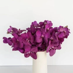 Vanda Orchids Hot Pink Calypso 6 Vanda Orchids Hot Pink Calypso -Garden of Petals vanda orchids hot pink calypso wholesale flowers vase e3ad2