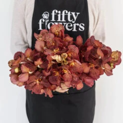 Vanda Orchids Red Magic 7 Vanda Orchids Red Magic -Garden of Petals vanda orchids red magic wholesale flowers apron bc2eb