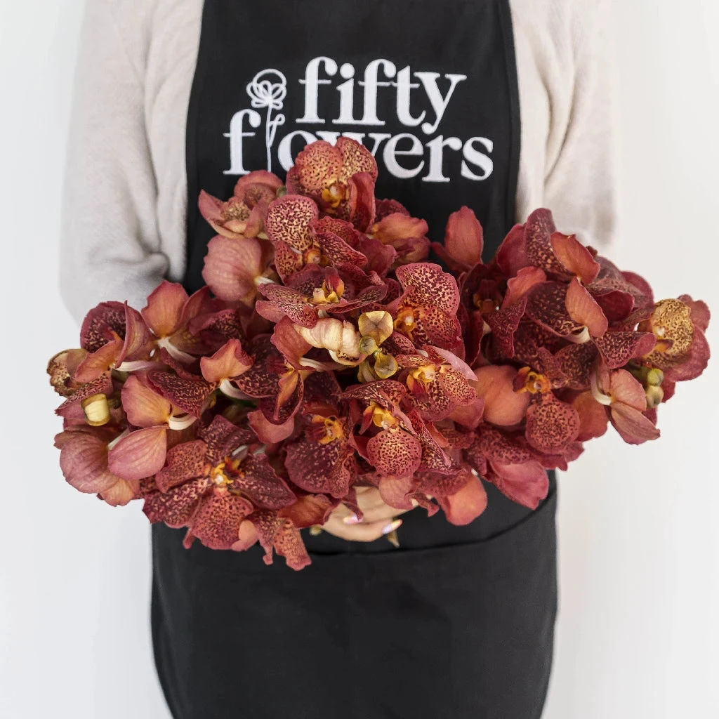 Vanda Orchids Red Magic 4 Vanda Orchids Red Magic - Image 4