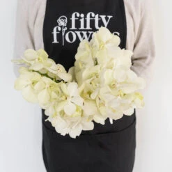 Vanda Orchids White Magic -Garden of Petals vanda orchids white magic wholesale flowers apron 61ef2