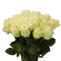 Vintage Promenade Garden Rose -Garden of Petals vintage promenade garden roses wedding bouquet idea 35 5319 l 90e54bb6 9edc 4527 b937 f5220ad844df