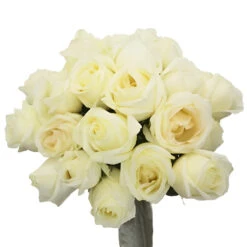 White Chocolate Rose -Garden of Petals white chocolate rose wholesale flowers vase 5c170