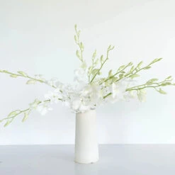 White Dendrobium Orchids Flower -Garden of Petals white dendrobium orchids flower wholesale flowers vase be04f